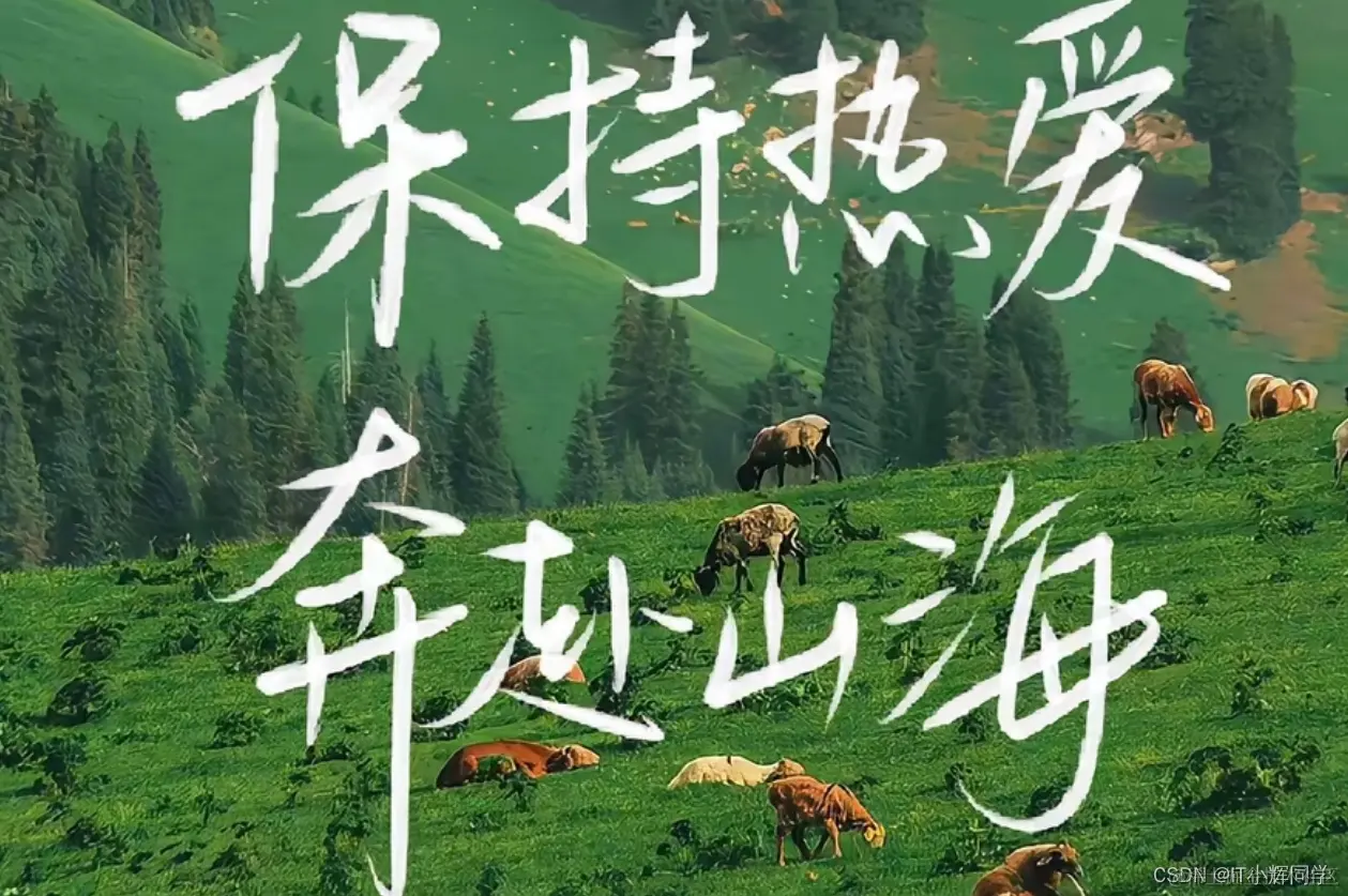 在这里插入图片描述