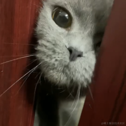 我是个靓崽于2023-05-10 21:11发布的图片