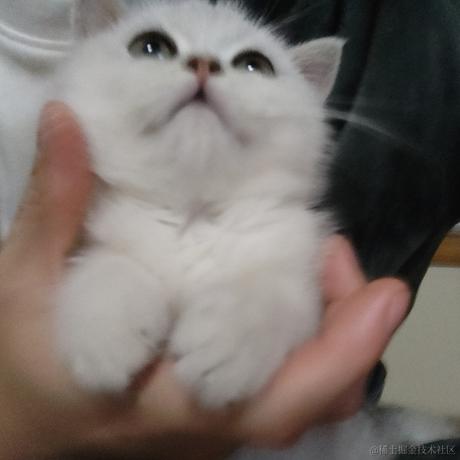 Henry1997于2022-12-13 15:12发布的图片