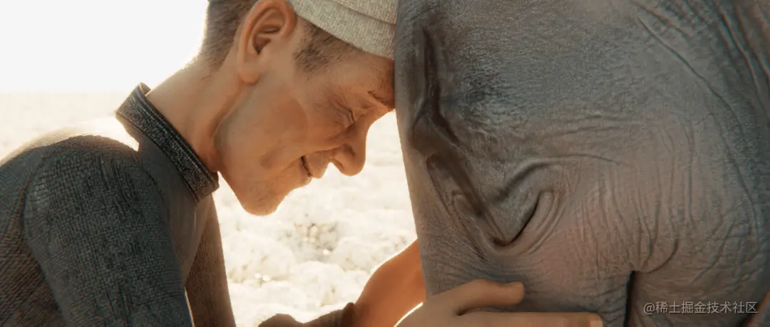 《象群挽歌》片段