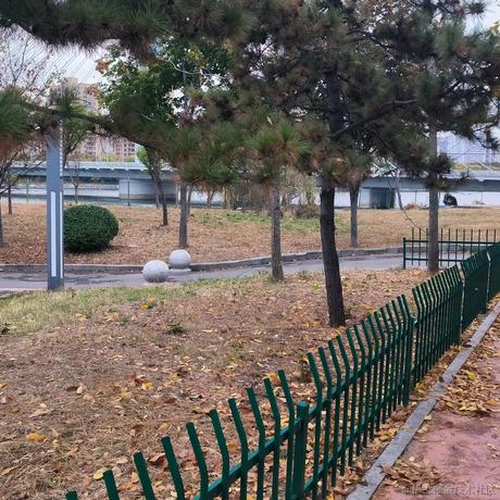 嘉然今天吃鸡腿于2022-11-12 16:58发布的图片