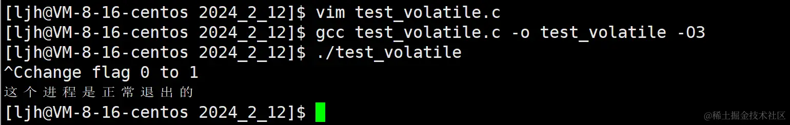 image-20240212005131657