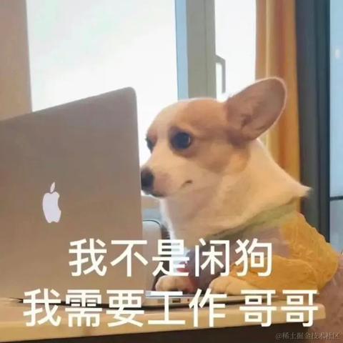 互联网困倦抓手于2023-02-20 16:10发布的图片