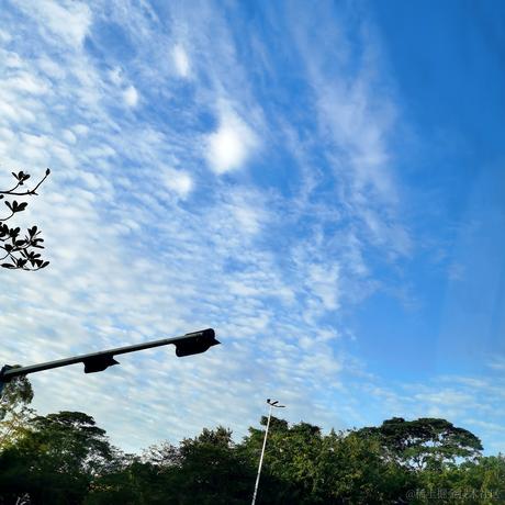 Rockbean于2023-02-04 12:24发布的图片