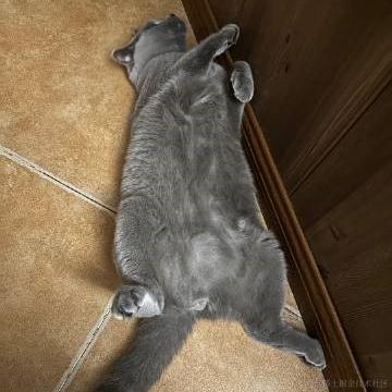 花折亦无情于2022-11-15 18:00发布的图片