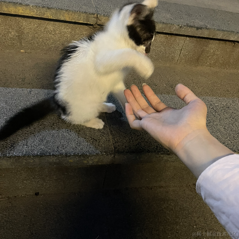 找不到我找不到我于2022-06-06 20:01发布的图片