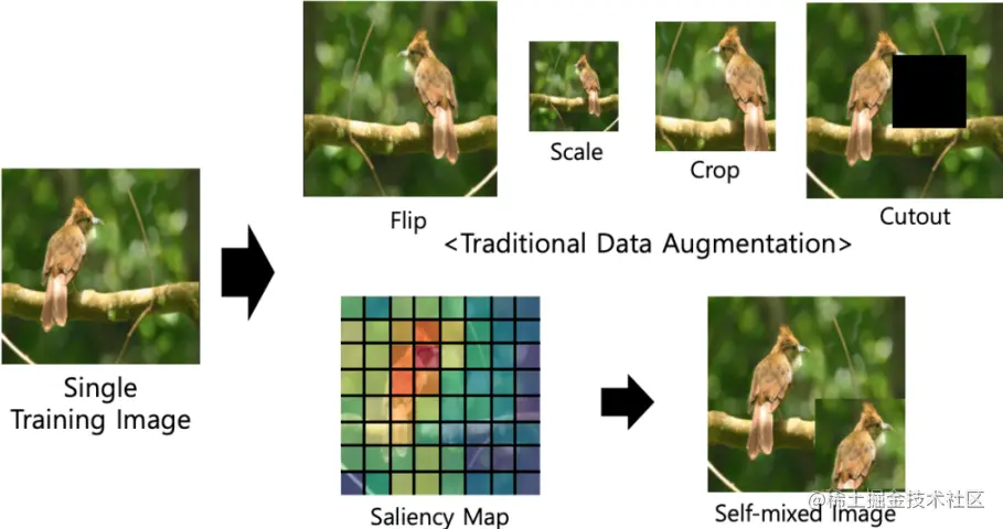 Conceptual comparison between SalfMix method and other single image-based data augmentation methods