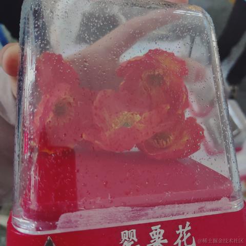 渚姐姐今天歌手出道了吗于2022-12-15 22:46发布的图片