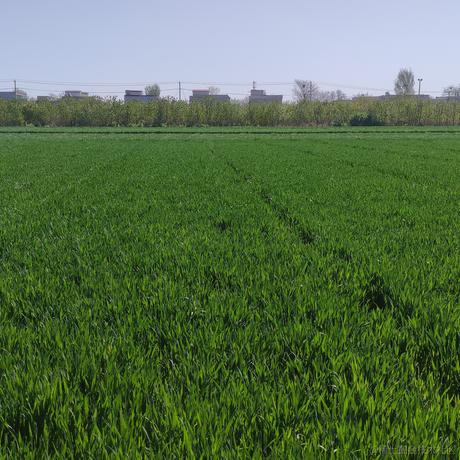 Bin17280于2023-04-11 07:20发布的图片