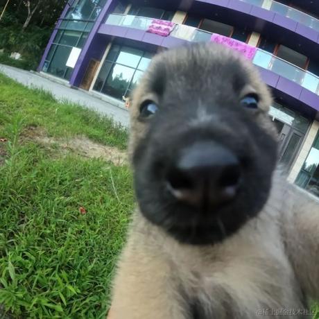 李小政935于2022-12-06 13:26发布的图片