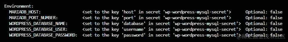 输出显示一系列环境变量，如主机、端口号、数据库名称、数据库用户和密码。连接数据库到 WordPress 的值是从一个 Secret 中获取的。