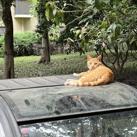 晚比大魔王于2022-11-18 09:14发布的图片