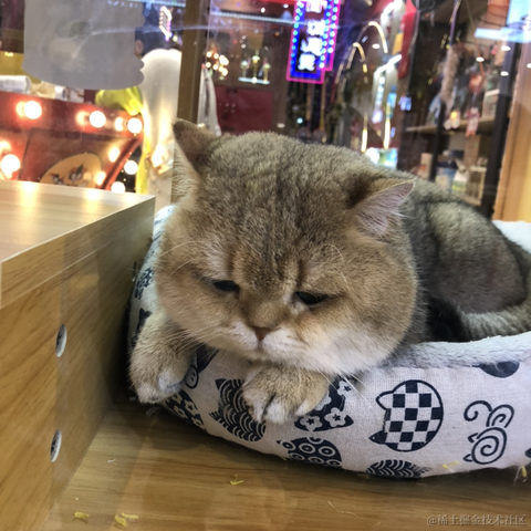 Remember_r于2022-11-14 08:48发布的图片