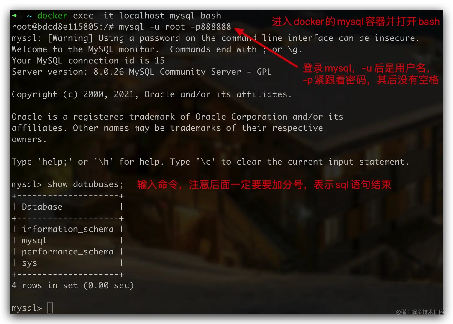 image-20210830202717904