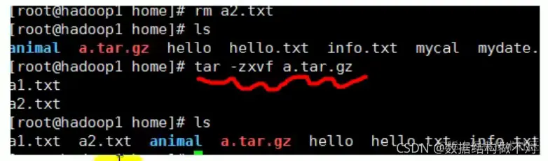 在这里插入图片描述