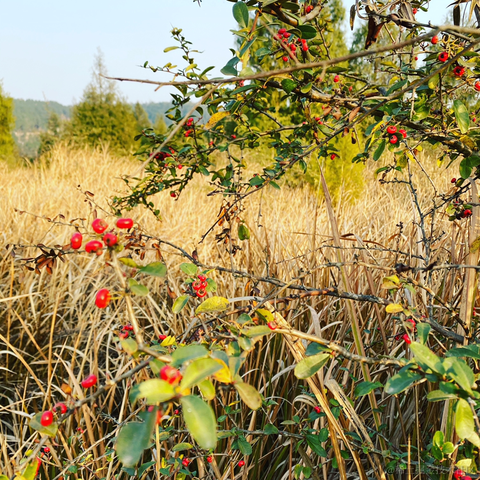 指剑天空于2021-02-11 23:21发布的图片