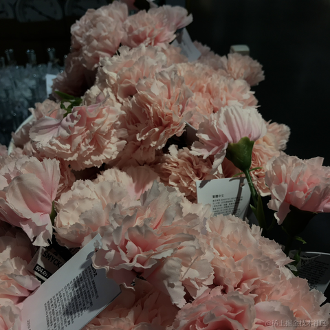 紫菜捏于2022-11-14 10:16发布的图片