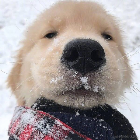 liang于2021-06-20 10:13发布的图片