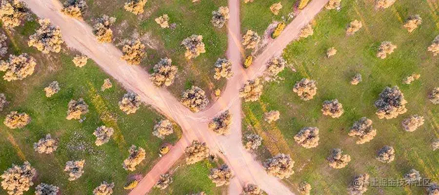 An overhead view of multiple pathways.