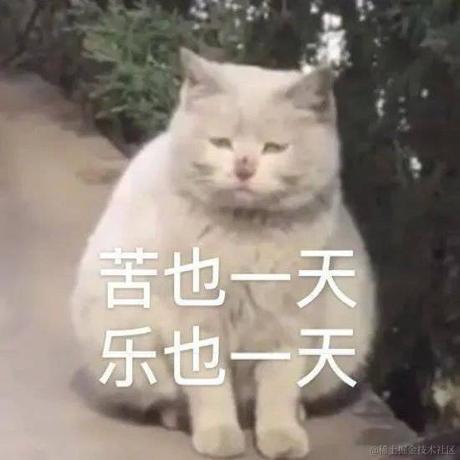 阳光号总钻风于2022-05-07 09:20发布的图片