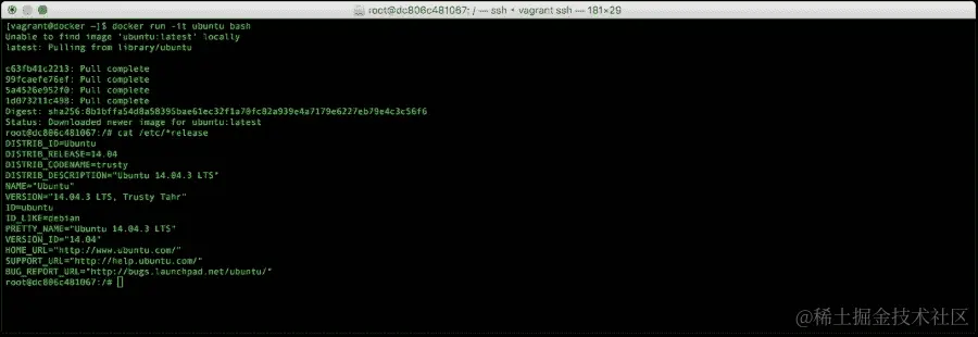 运行虚拟服务器