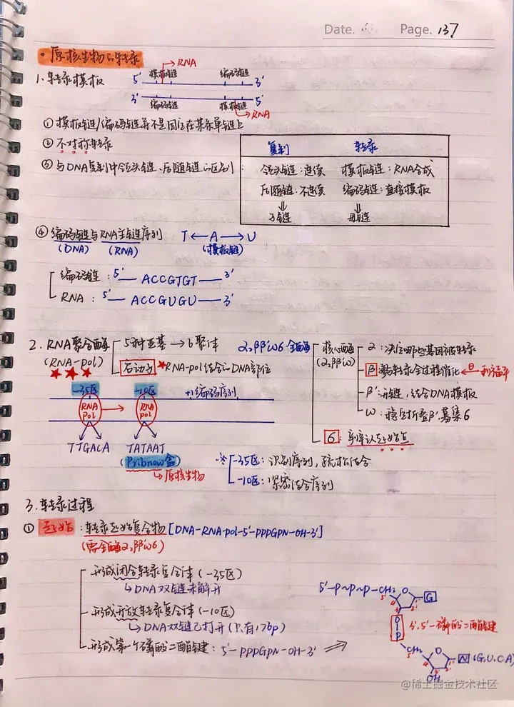生化手写笔记.pdf