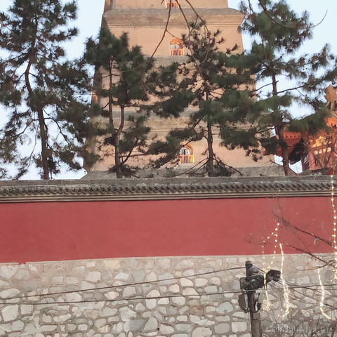 最好沉默于2021-01-01 17:56发布的图片