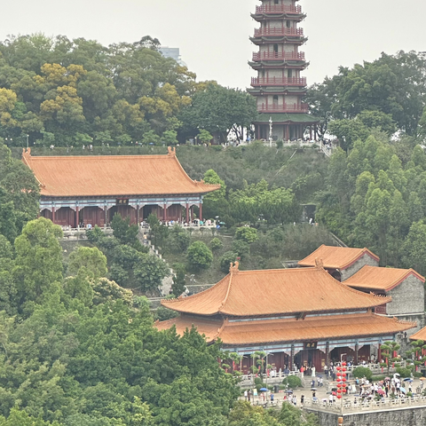 ACoder于2024-05-04 10:50发布的图片