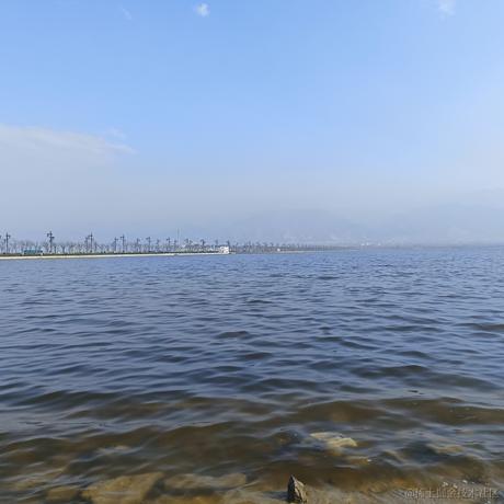 做着摘星的梦于2023-04-25 08:59发布的图片