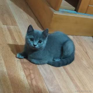 月球背面于2023-05-14 14:45发布的图片