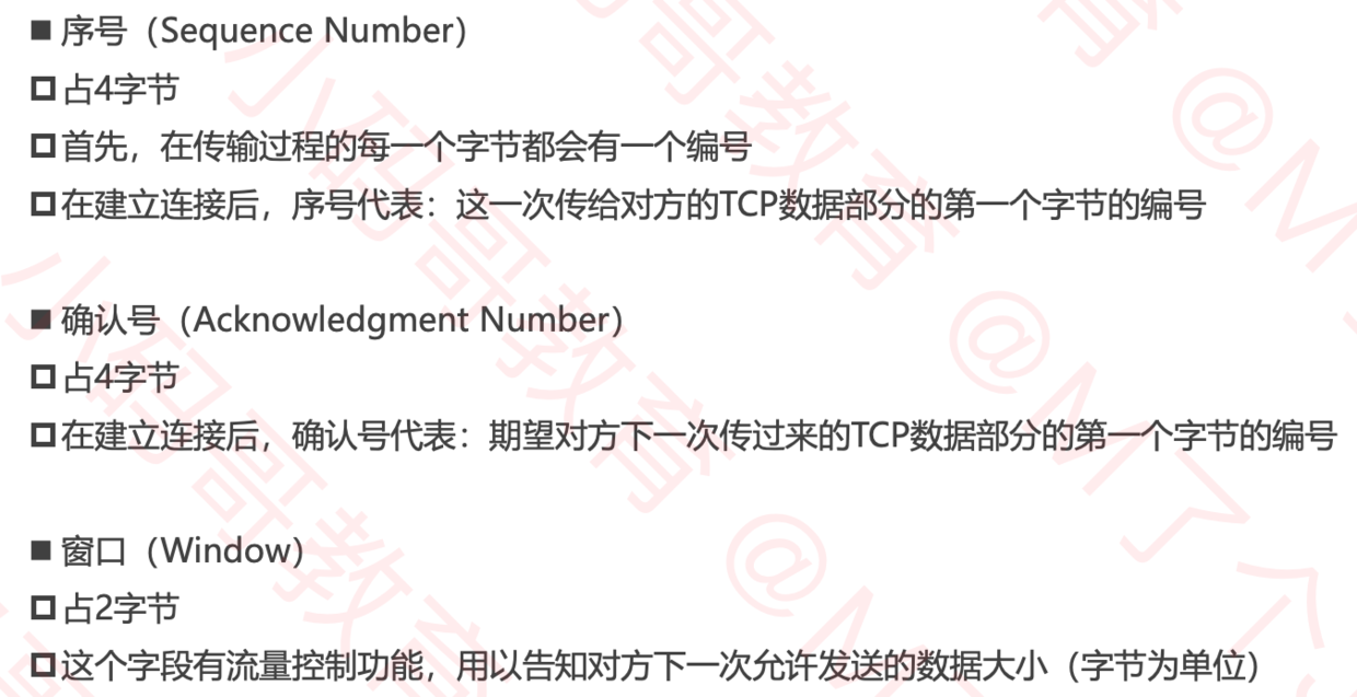序号、确认号、窗口