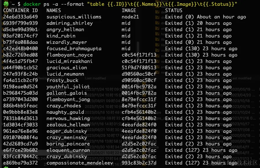 image-20231124103328181