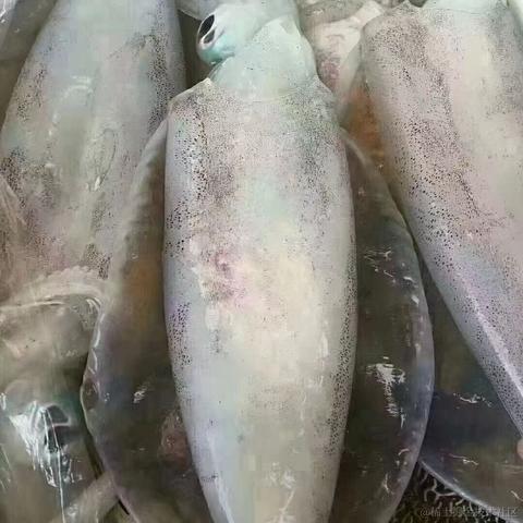 我想中奖于2023-01-18 12:55发布的图片