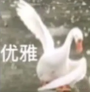 优雅.png