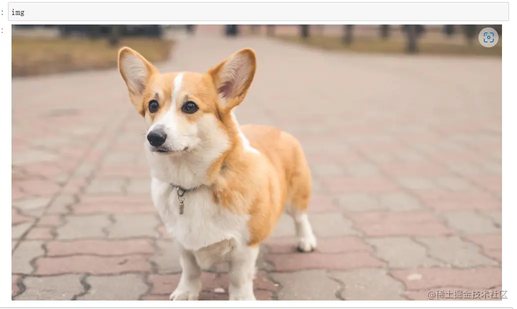 image-20220731110242082