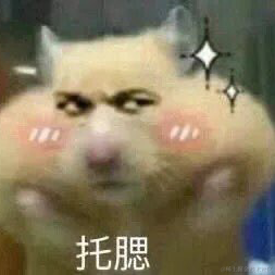 9997896于2021-11-23 11:25发布的图片