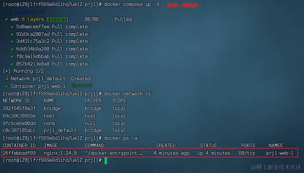 image-20240215215311292