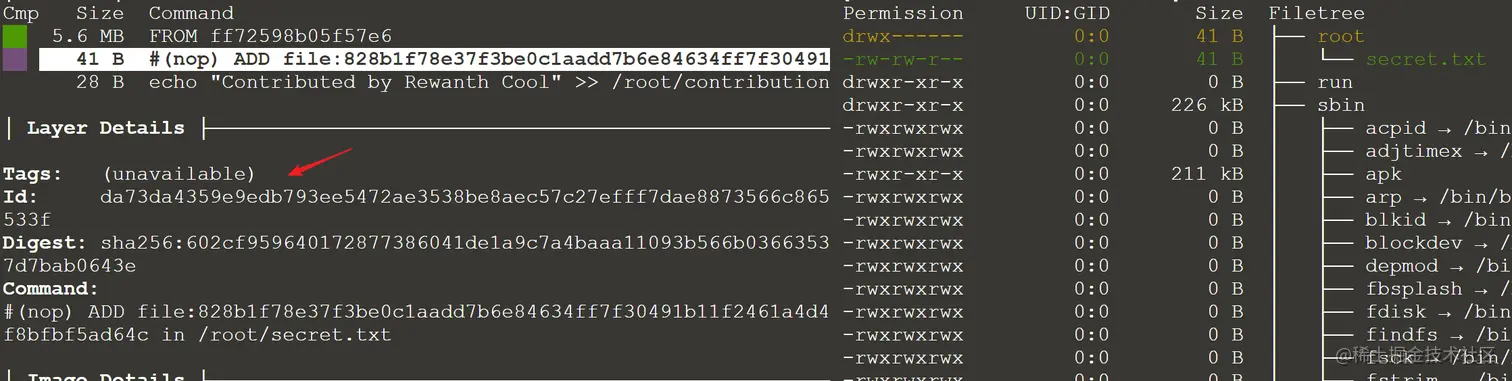 image-20220331133345023