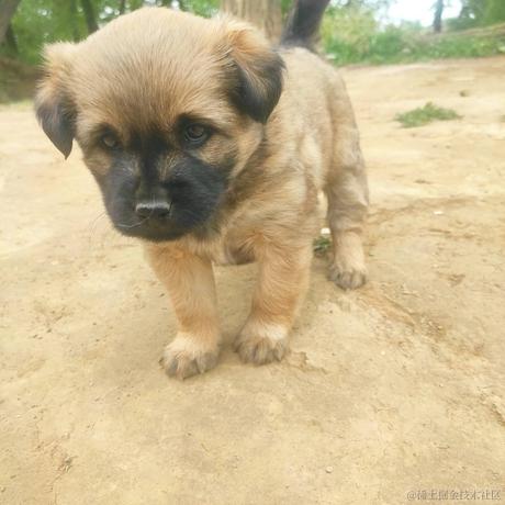 一只笨菜鸟于2023-03-14 00:11发布的图片