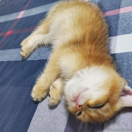 将军山最速下山传说于2020-10-13 12:44发布的图片