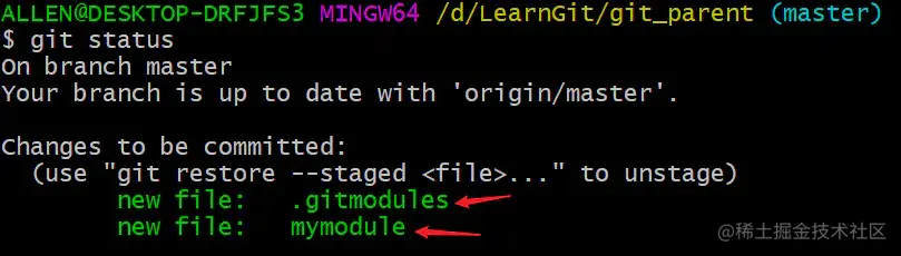 image-20200329203048016