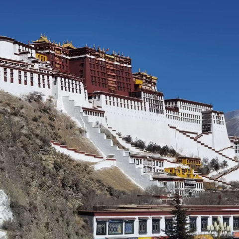 没有哆啦的A梦于2023-03-14 17:17发布的图片