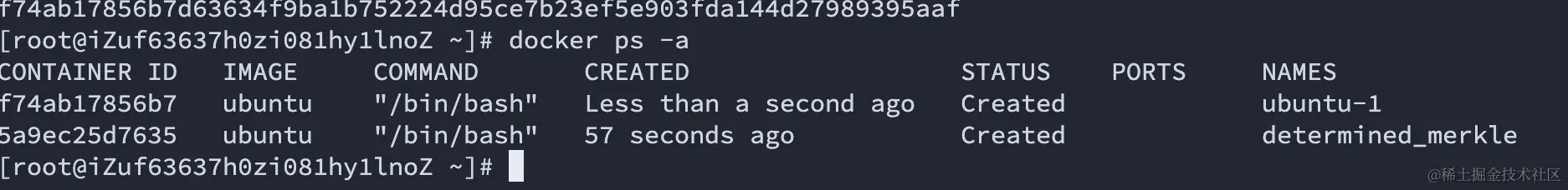 image-20230904222138404