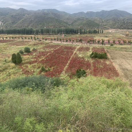 朝着全栈加速前进于2022-10-08 08:51发布的图片