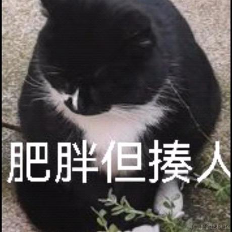 飞飞飞飞鸟于2022-11-30 19:29发布的图片