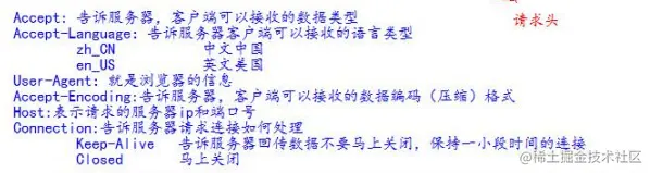 image-20211224193309144