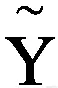 \overset{\sim }{\mathrm{Y}}