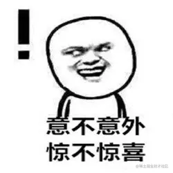 意不意外！惊不惊喜！ - 没想到吧？我想到了哈哈哈！意不意外？惊不惊喜？刺不刺激？_想不到_装逼_斗图_怼人表情表情