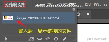 image-20230802174731018