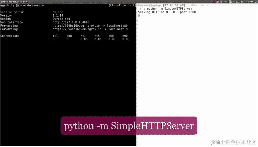 从本地主机到即时 DNS